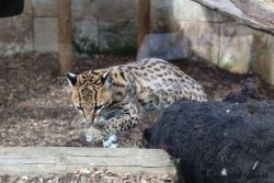 IMG4595